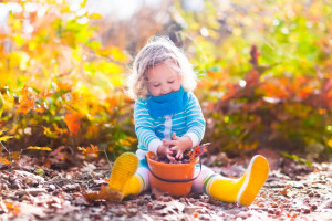 Girl holding acorn and colorful leaf in autumn park. Child picking acorns in a bucket in fall forest with golden oak and maple leaves. Children play outdoors. Kids playing and hiking in the woods.